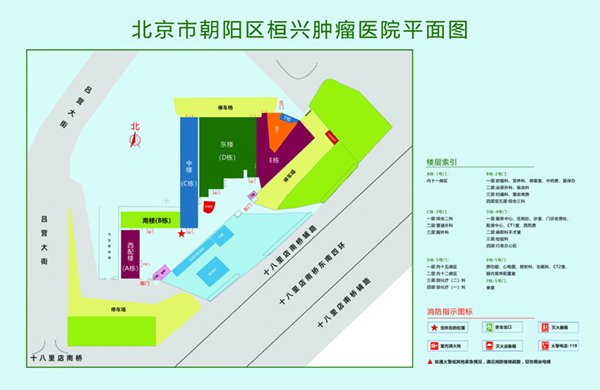 日本贱逼女掰开手插北京市朝阳区桓兴肿瘤医院平面图